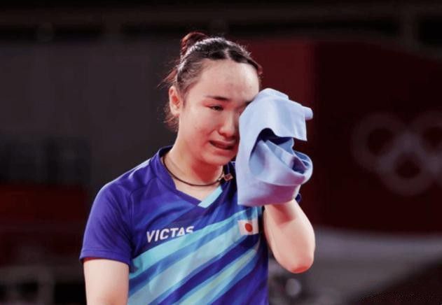 日本电影免费观看大全熊出没